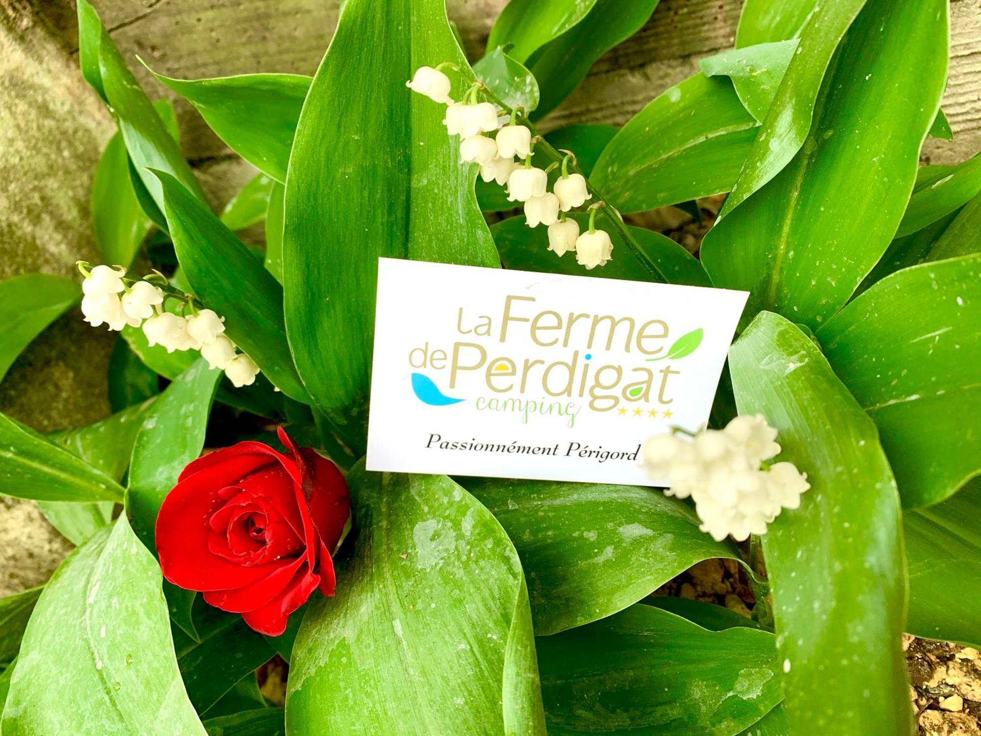 Camping La Ferme De Perdigat Limeuil エクステリア 写真