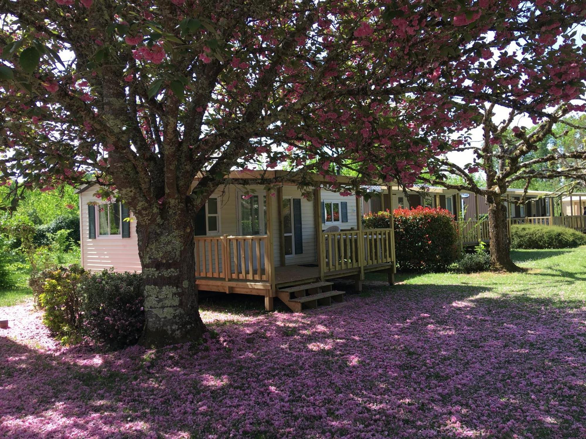 Camping La Ferme De Perdigat Limeuil エクステリア 写真